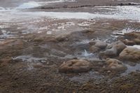 
DSC00047